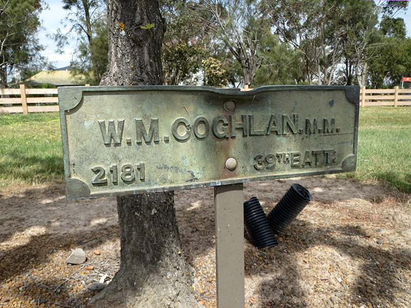 W M Coghlan M.M. 2181 39th Battalion - J Burrell photo 2013